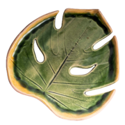 ����� ������ ����� �������� ������� � ������ 20�� F08010507