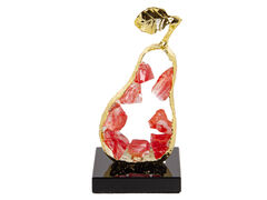 ��������� ����� 20�� 790-004