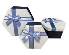 Подарочная коробка White/Blue 19х16х8см 40321-03 19*16*8