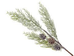 ����� ������������ 60�� 801-535