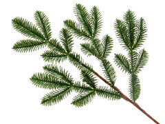 Ветка декоративная 60см 801-537