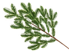 ����� ������������ 70�� 801-538