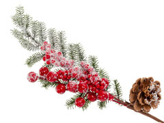 ����� ������������ 33�� 801-540