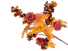 ó��� ����������� 50�� 820-064