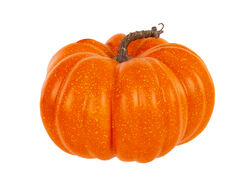 ������������ ������ 25�� 820-069