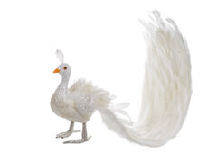 Գ����� ����� 75�� 822-049