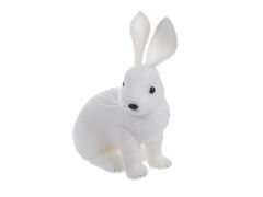 Գ����� ������ 29�� 822-052