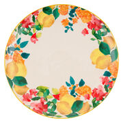 ����� ������� Capri 36�� DR0527