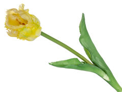 Тюльпан декоративний жовтий 47см 821-105