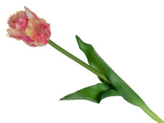 Тюльпан декоративний рожевий 47см 821-108