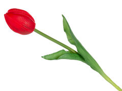 Тюльпан декоративний фуксія 43см 821-111