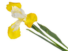 ���� ������������ ������ 76�� 821-115