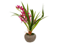 Рослина декоративна Орхідея лілова 40х10х30см 821-138