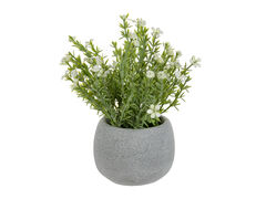 Рослина декоративна Хебе білий 16х10х10см 821-146