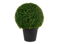 Рослина декоративна Самшит 59х39х39см 821-157