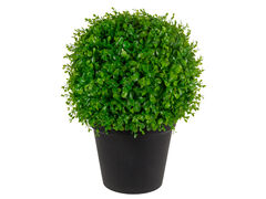 Рослина декоративна Самшит 42х35х35см 821-158