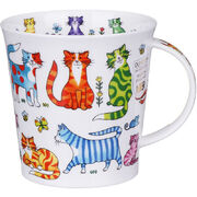 ������ Cairngorm Colourful Crew cat 480��