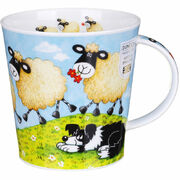 ������ Cairngorm Follow me follow ewe dog 480��