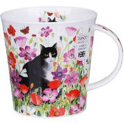 ������ Cairngorm Pretty paws black&white 480��