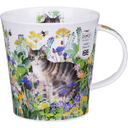 ������ Cairngorm Pretty paws tabby 480��