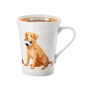 ������ Cats & Dogs My Mug �������� 400�� 02048-727436-15505