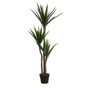 Растение декоративное Юкка 150см 1165240