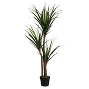 Растение декоративное Панданус 150см 1165241