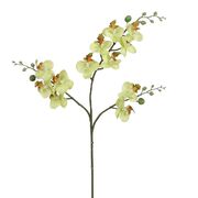Цветок декоративный Фаленопсис желто-зеленая 45см 1058844