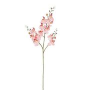 ������ ������������ ���������� ������� 75�� 1128710