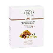 ��������� ��� �������������� ��������� Car Diffusers Oriental Star 6420