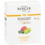 ��������� ��� �������������� ��������� Car Diffusers Citrus Breeze 6580