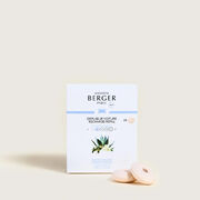 ��������� ��� �������������� ��������� Car Diffusers Agaves Garden 6992