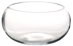 ���� Jane 9�� A040112