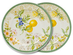 ����� ������� ��������� ����� 26�� 924-854