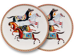 ���� ������ ��������� Equides 20,5�� 924-871