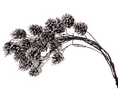 ����� ������������ 45�� 801-557