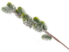 ����� ������������ 70�� 801-560