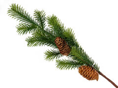 ����� ������������ 52�� 801-561