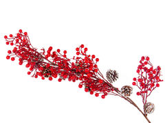 ����� ������������ 65�� 801-566