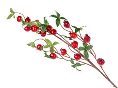 ����� ������������ 100�� 801-580