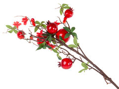 ����� ������������ 95�� 801-581