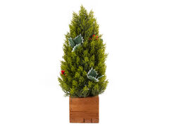 ������������ ������������ � ������ 48�� 801-583