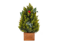 ������������ ������������ � ������ 35�� 801-584