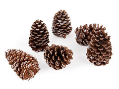 ����� ����� ������������ 801-577