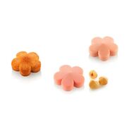 ����� ��� �������� 4,2�1,5�� FIORE XS 13