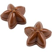 Форма для шоколада Морська Зірка 3,4х3,4х2см 21MA1083