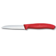 ͳ� ��� ������ Swiss Classic Red Paring 8�� Vx67431.C1