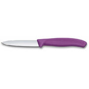 ͳ� ��� ������ ������ Swiss Classic Purple Paring 8�� Vx67605.C1