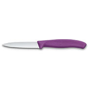 ͳ� ��� ������ Swiss Classic Purple Paring 8�� Vx67635.C1 - ��� ������