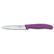 ͳ� ��� ������ ������ Swiss Classic Purple Paring 10�� Vx67705.C1